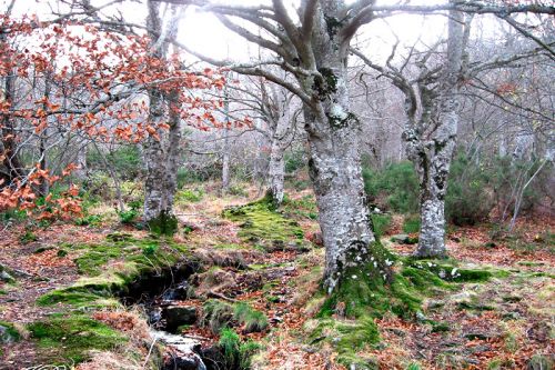 Senderismo Sierra del Moncayo