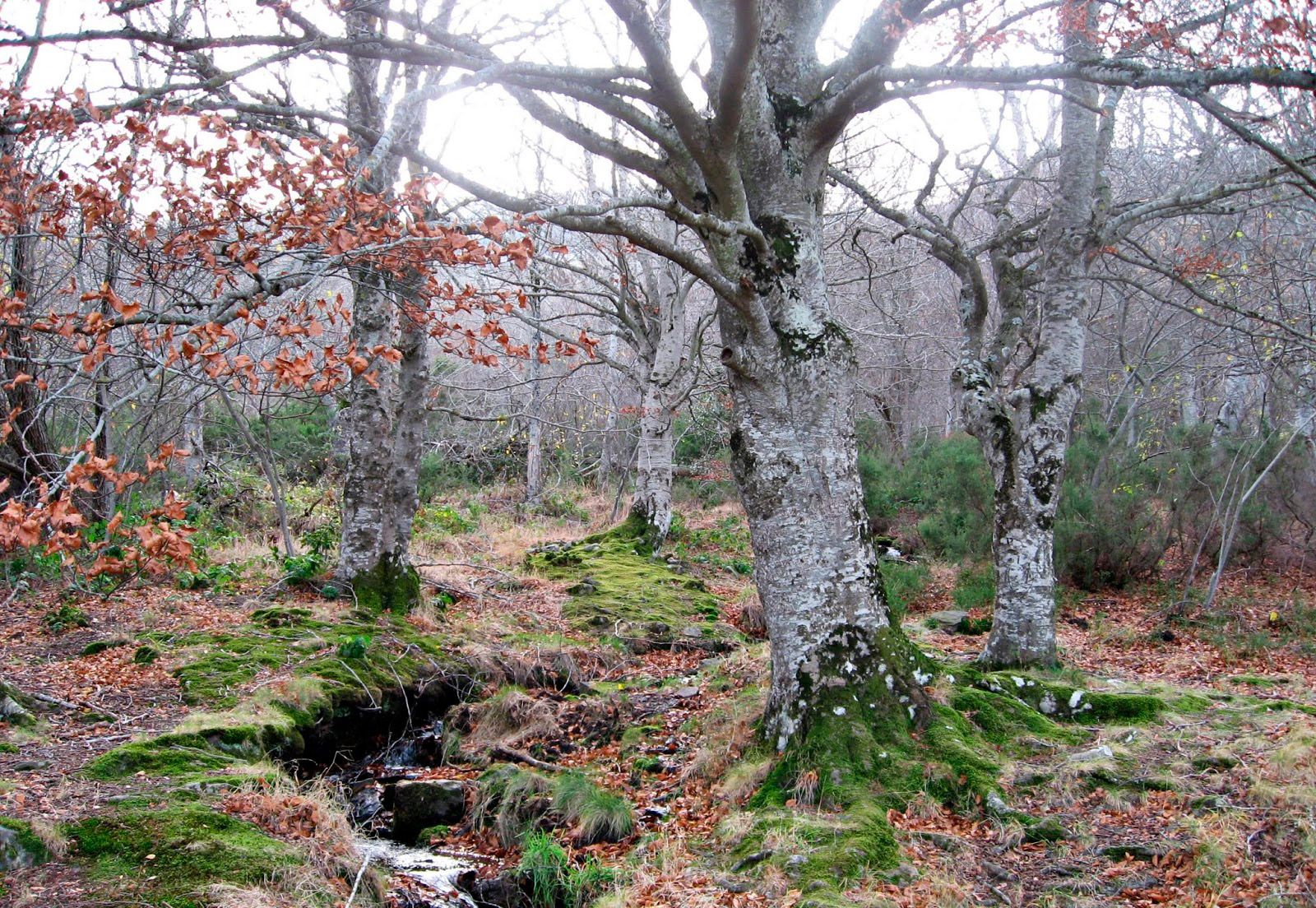 Rutas de senderismo en El Moncayo